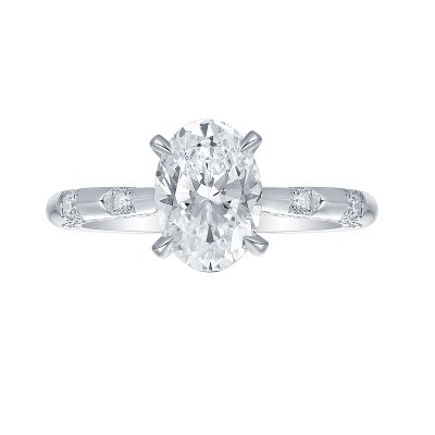 Cathedral Hidden Halo Ring