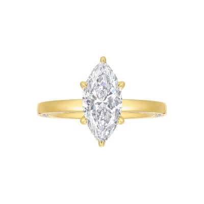 Hidden Halo Ring